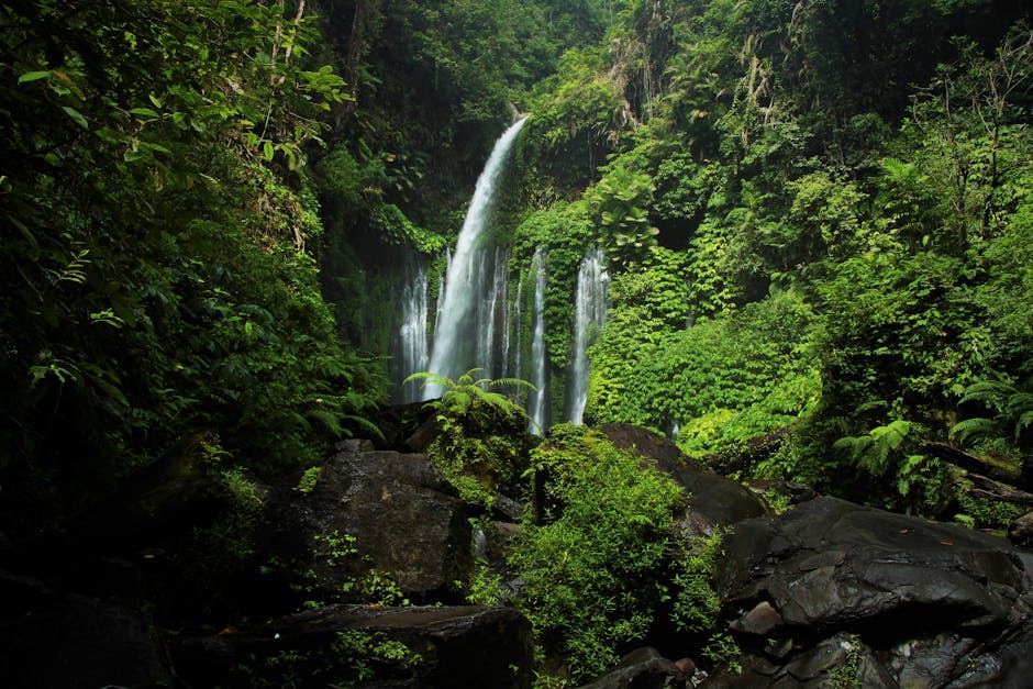 Dominica tropical landscape